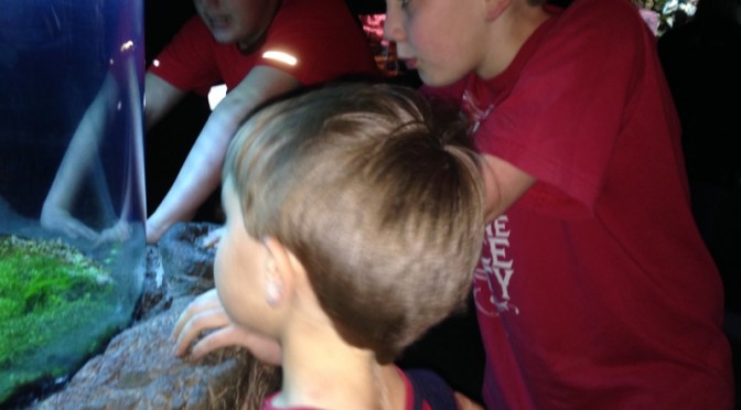 Gatlinburg, Tennessee